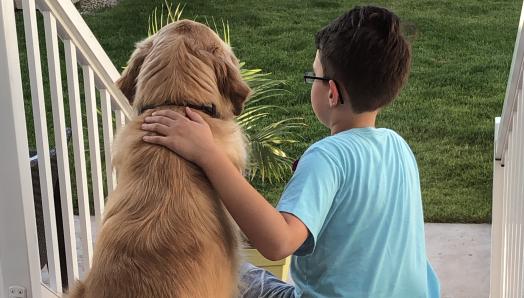 The backs of Austin and his CNIB Buddy Dog Dickson, a golden retriever, sitting on an outdoor backstep looking out; Austin is petting Dickson’s back.
