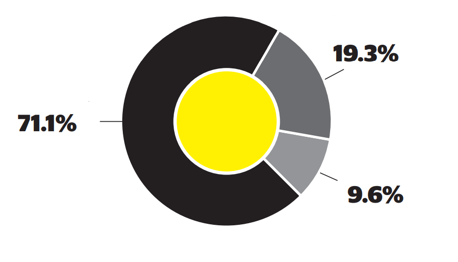 Pie chart graph showing budget breakdown - Construction and Renovation 71.1%, Program Implementation 19.3%, Technology and Infrastructure 9.6%