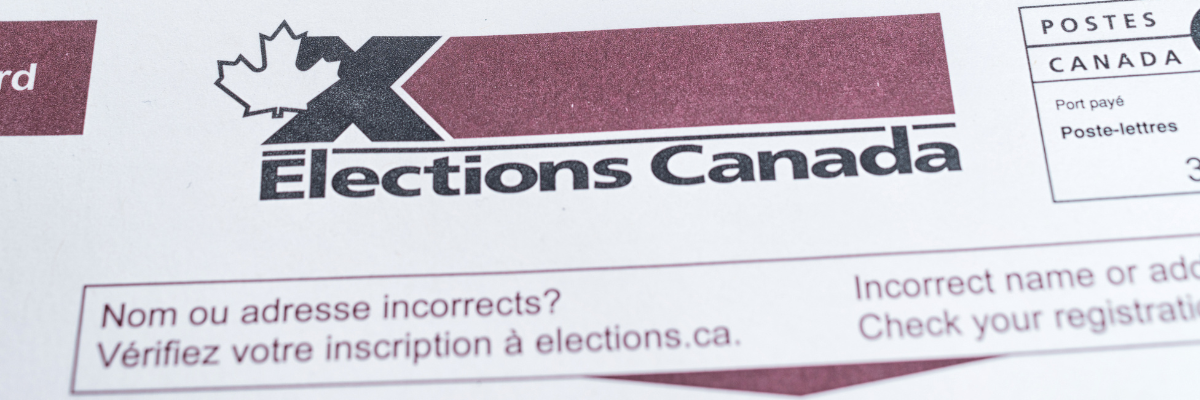 Une pile de cartes d'information de l'électeur d'Élections Canada distribuées par courrier.