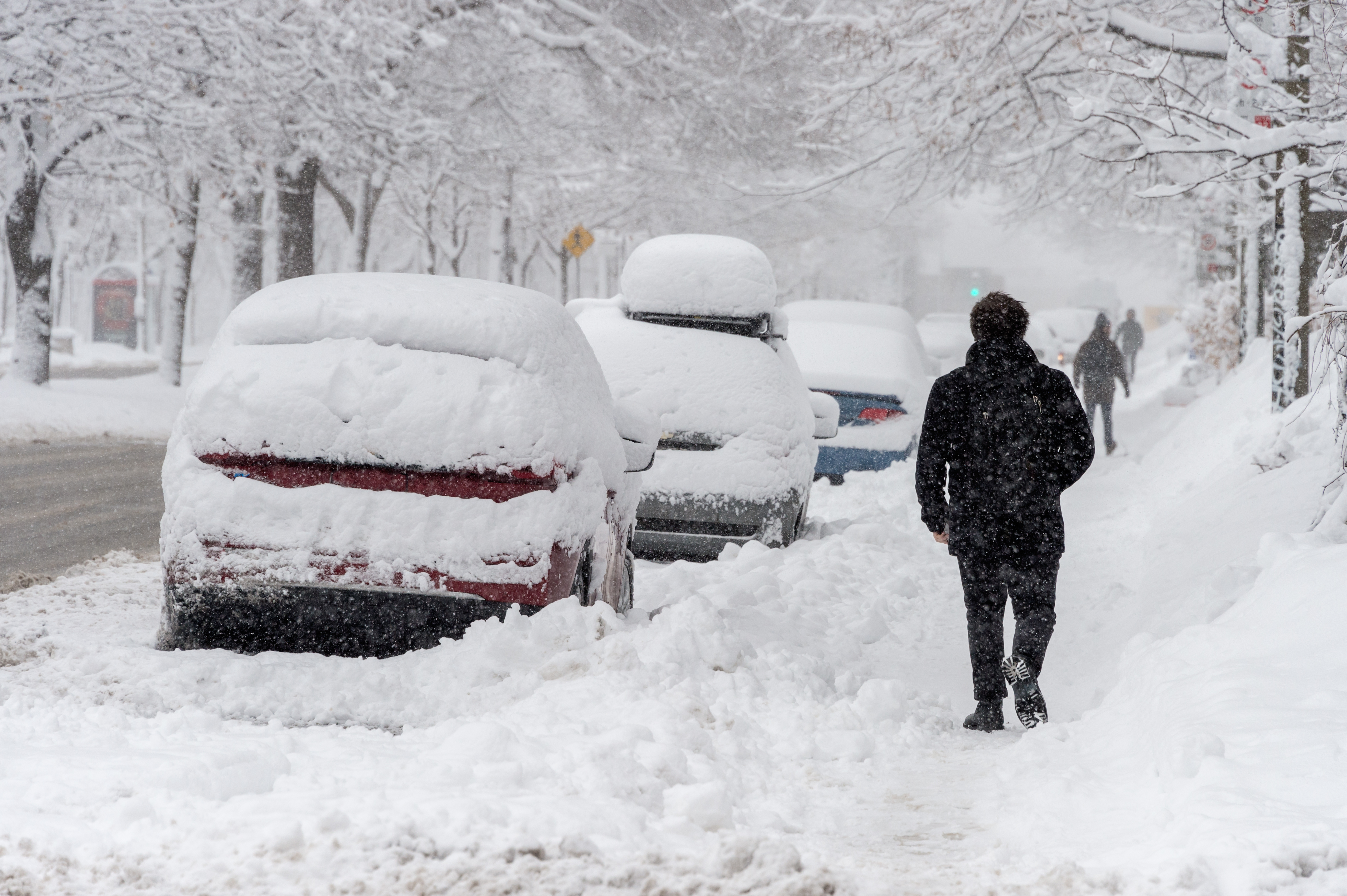 Une rue résidentielle, des trottoirs et des voitures garées sont recouverts de neige. Un homme marche sur un trottoir enneigé.  Dans le coin inférieur gauche de l’image, une bannière jaune affichant le texte « Déneiger la voie! » est superposée.