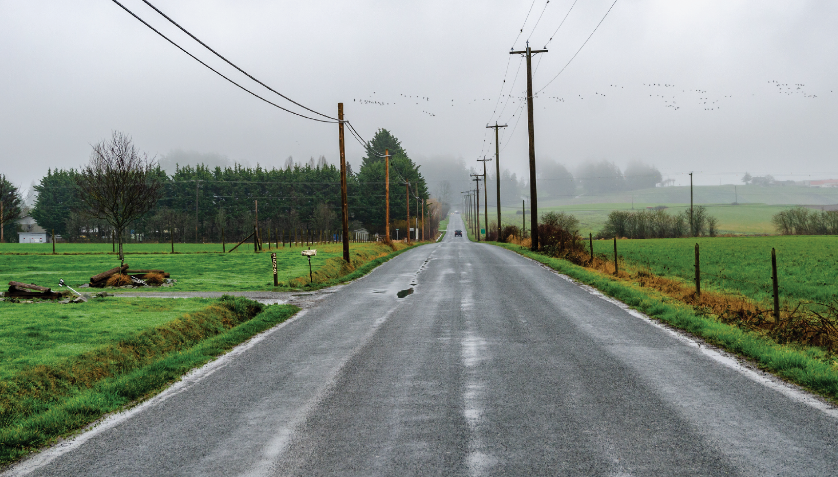 Une longue route rurale droite qui s'étend au loin. C'est un jour de brouillard et il y a des flaques d'eau sur la chaussée. De chaque côté de la route, il y a des champs, des arbres et des lignes électriques. 