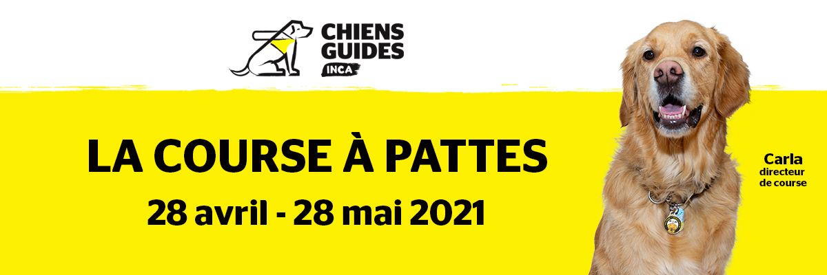 Graphique promotionnel mettant en vedette Carla, un chien-guide Golden Retriever et la directrice de la Course à pattes d'INCA. Le logo des chiens-guides d'INCA figure au-dessus d'un texte qui se lit : « Course à pattes, 28 avril - 28 mai 2021 »