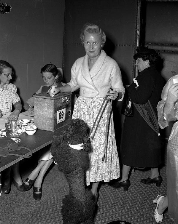 Alt text : Photographie en noir et blanc d'une femme qui glisse son bulletin de vote tout en tenant son caniche en laisse.   