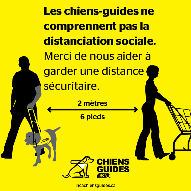 Icone d'une personne aveugle et d'une autre personne à l'épicerie avec une flèche représentant les 2 mètres de distance.