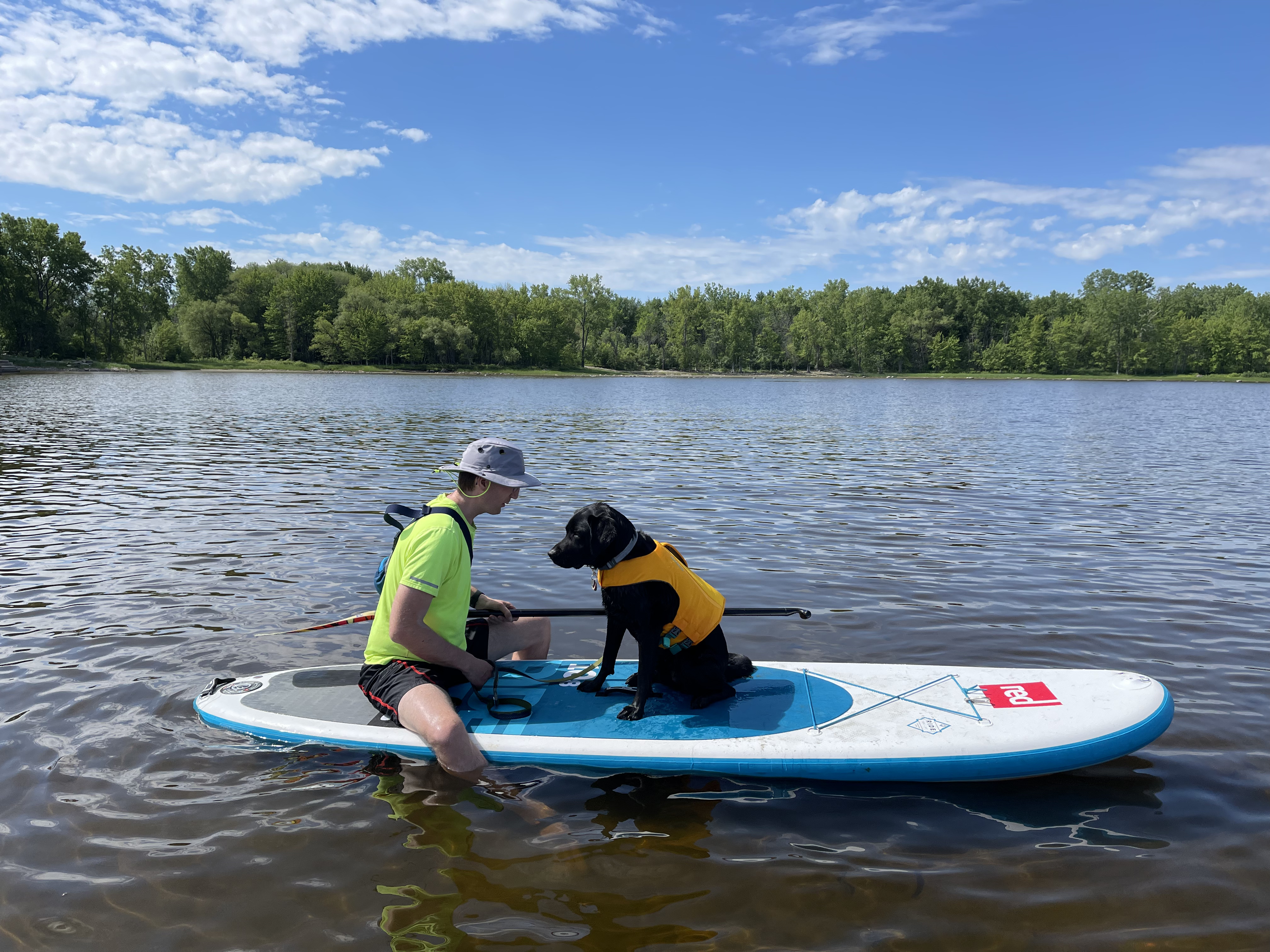 Un homme assis sur une planche à pagaie sur un lac, avec un Labrador noir assis, lui faisant face et portant un gilet de sauvetage jaune vif. 