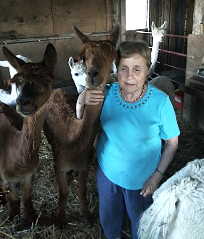  Norma Cowell entourée de ses alpagas