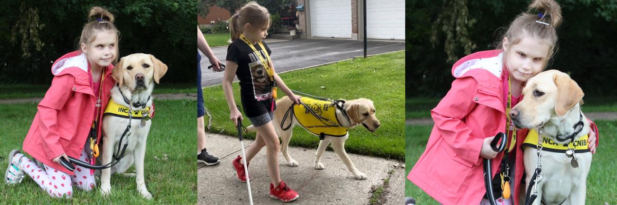 Abigail is kneeling on the grass next to her yellow Lab Buddy Dog, Lindsay; Abigail is walking on the sidewalk holding her white cane in her right hand, and holding Lindsay’s leash in her left hand while Lindsay is walking beside her wearing her bright yellow Buddy Dog vest, and Lindsay’s mom is walking behind them holding onto a secondary leash; Abigail has her arm around her Buddy Dog, Lindsay.