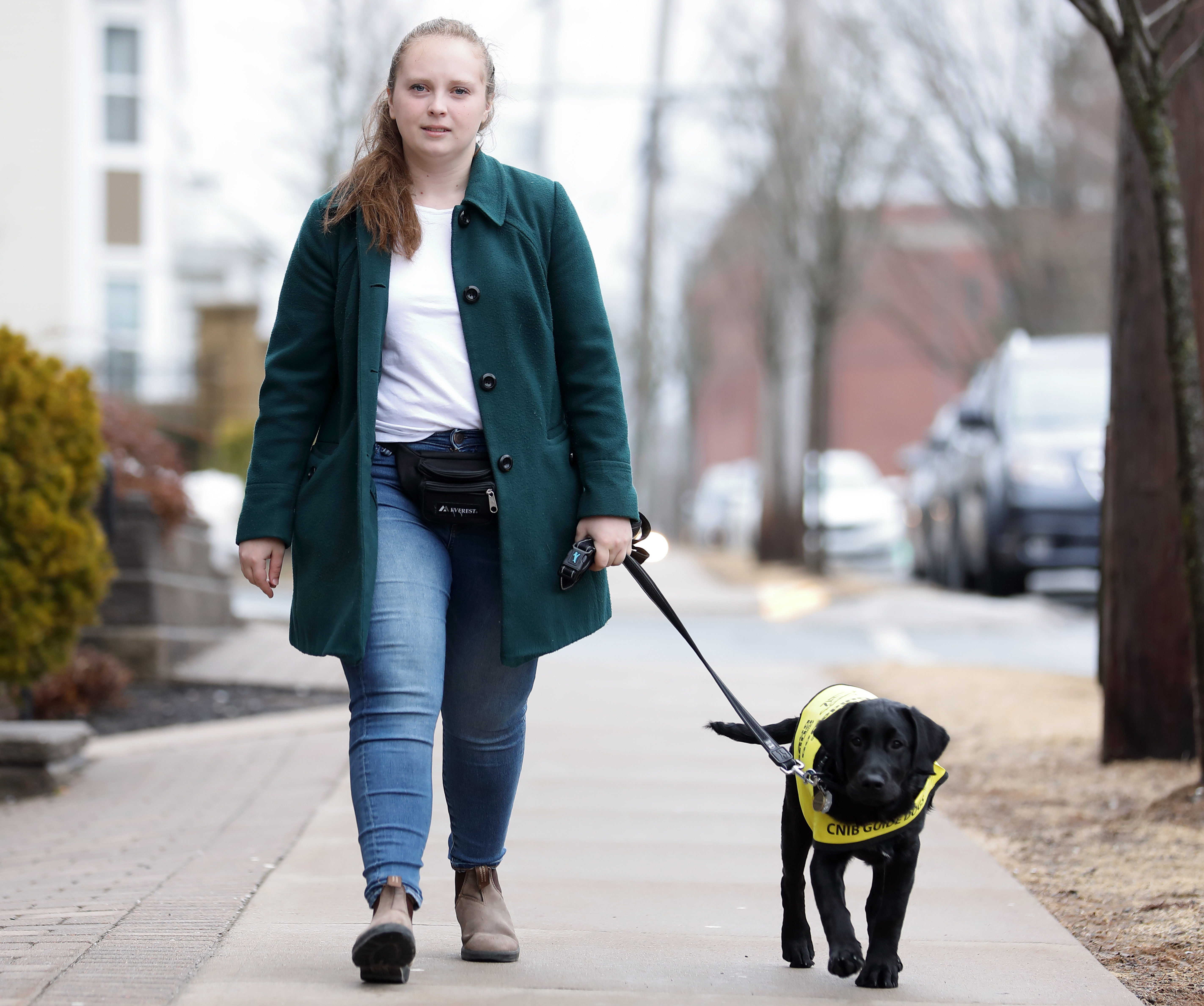 Maja walking down a sidewalk toward the camera, holding Lily’s leash who is walking alongside her; Lily is a black Labrador-golden retriever puppy wearing a bright yellow Future Guide Dog vest