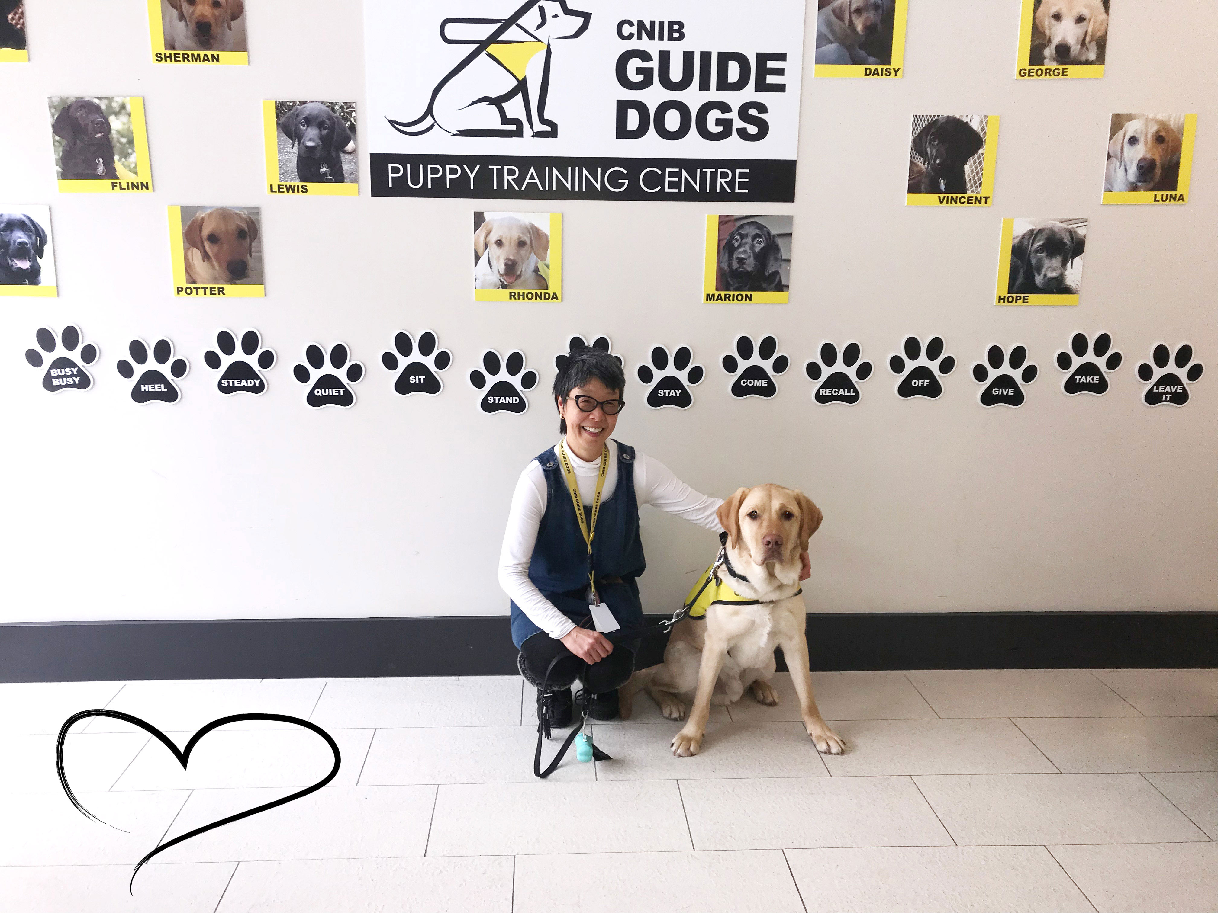 Puppy Raiser Yuko Imai, kneeling next to Potter, a future CNIB Guide Dog