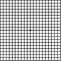 Amsler Grid