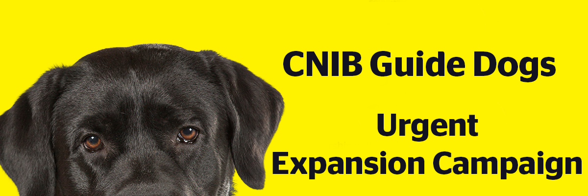 Image of a Black Labrador dog and the words CNIB Guide Dogs Urgent Expansion Campaign