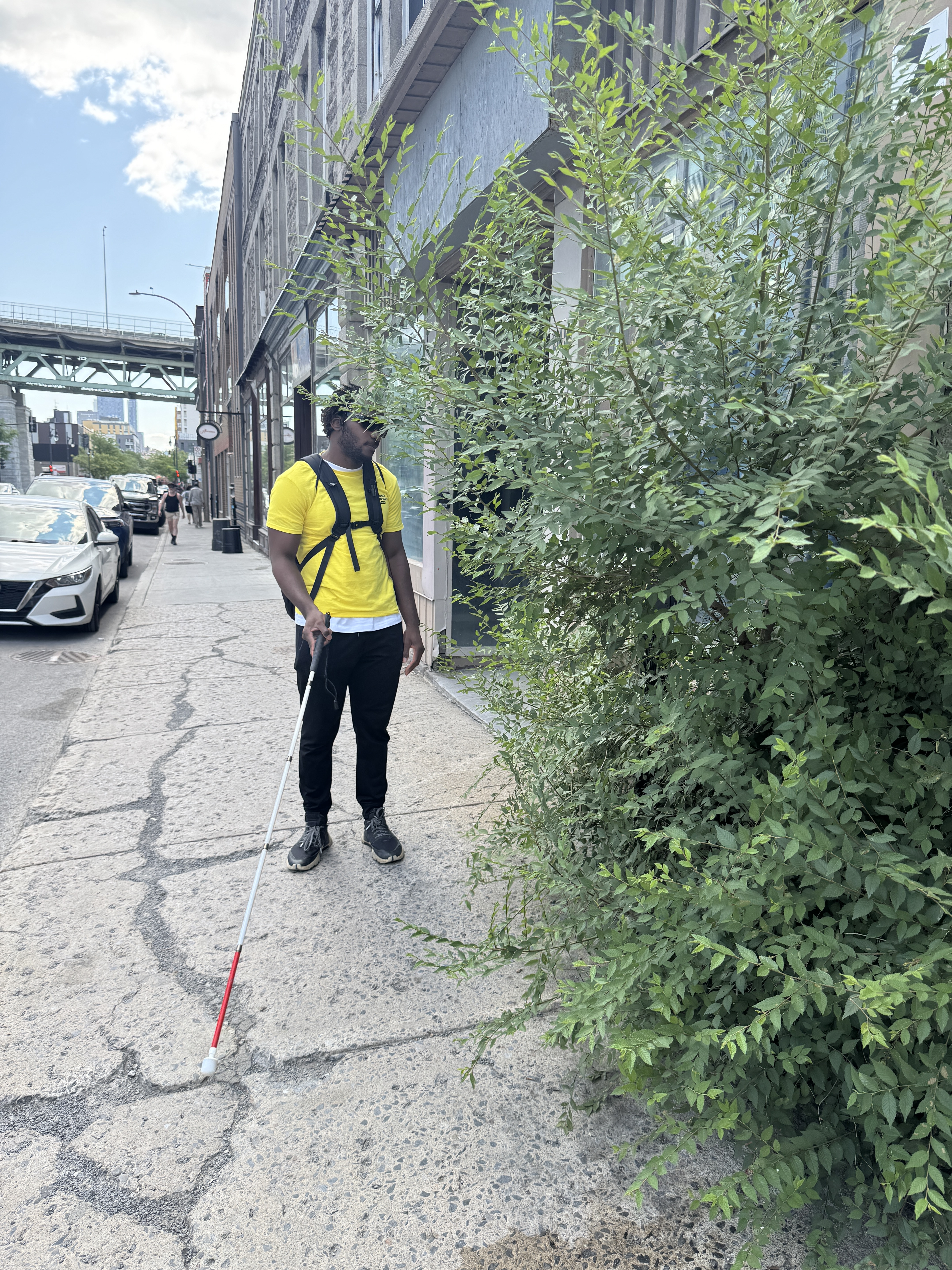 Haie qui dépassent sur le trottoirs