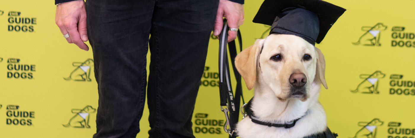 Un chien-guide portant un chapeau de diplômé.