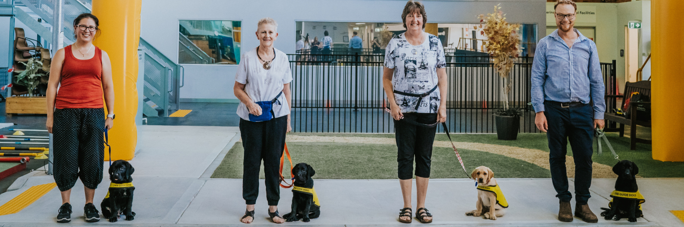 Quatre futurs chiens-guides d'INCA sont élevés en Australie, de gauche à droite : Rex, Harley, Bridget et Oscar, assis à côté de leurs éleveurs de chiots bénévoles