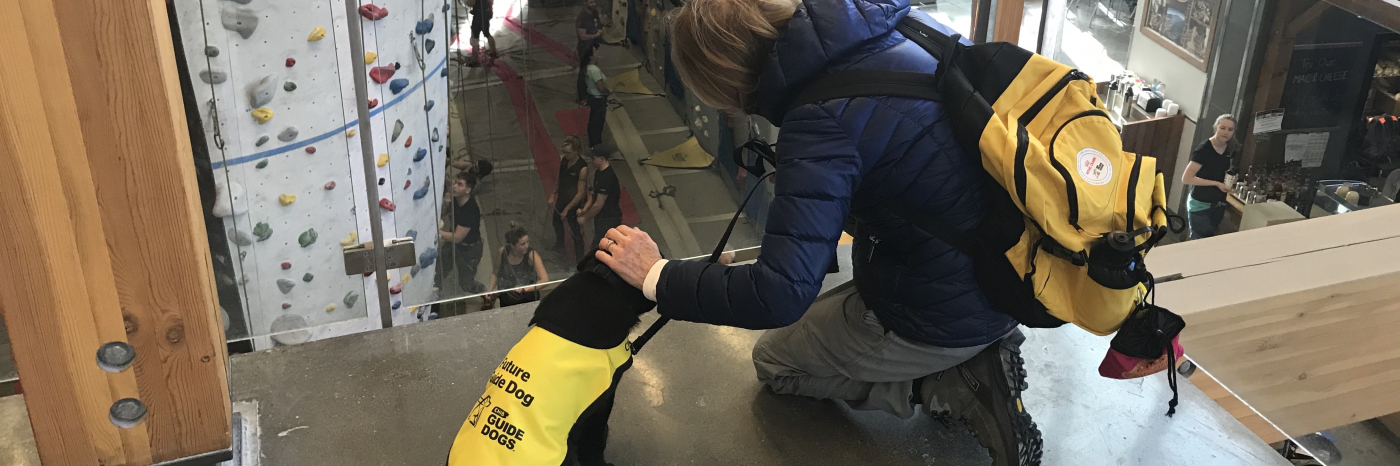 Un Labrador-Retriever noir chiot portant un gilet jaune vif de « Futur chien-guide » assis devant une balustrade en verre surplombant un site d'escalade, avec son éleveur à genoux à côté de lui qui lui caresse la tête.