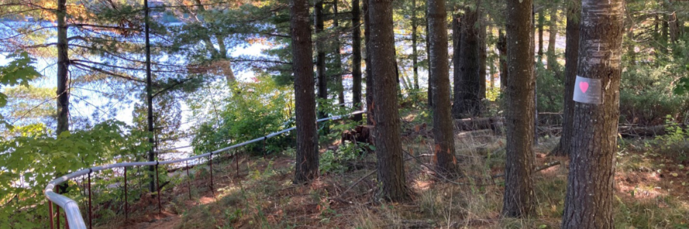  Un indice d’une chasse au trésor est affiché sur un arbre du sentier d’interprétation de la nature du Centre Lake Joe d’INCA. 