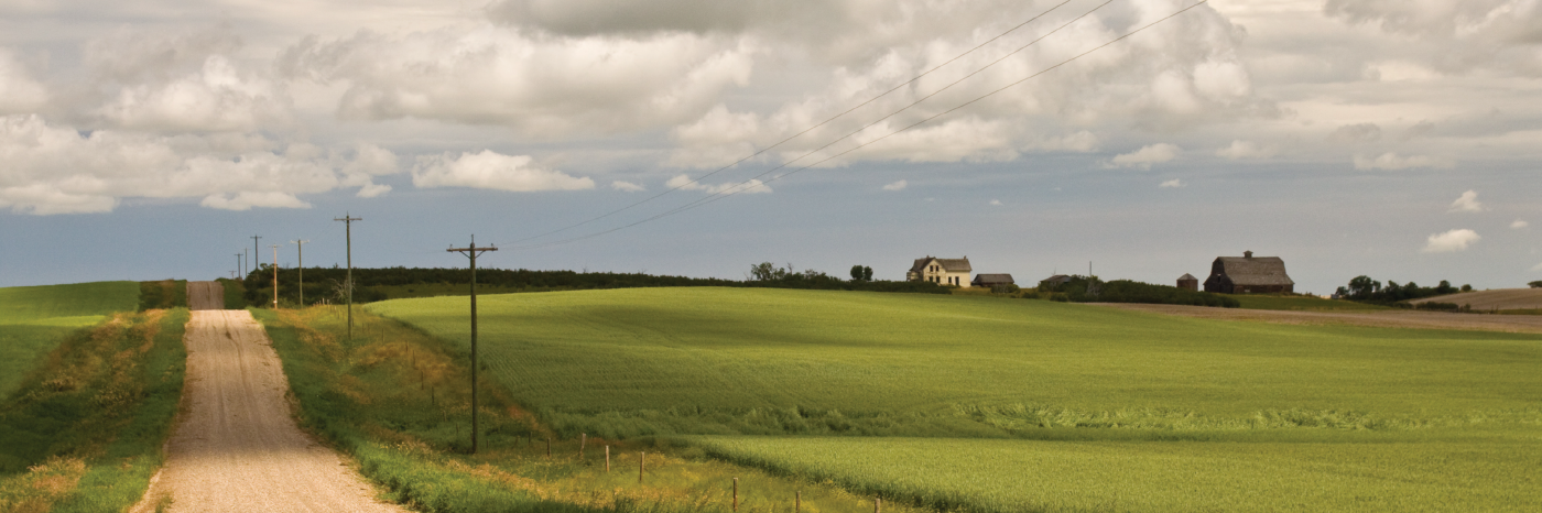 Une route de gravier traverse une ferme luxuriante dans le Canada rural. Le temps est couvert et les nuages sont bas. Au loin apparaît une maison de ferme.