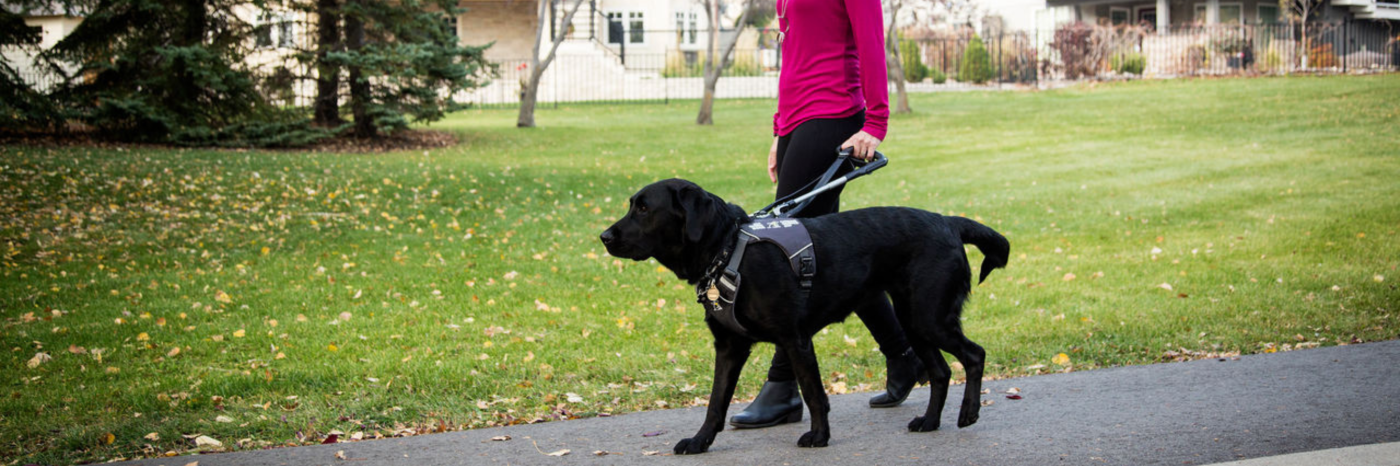 En extérieur, une jeune utilisatrice d'un chien-guide navigue sur un trottoir résidentiel avec son chien-guide noir. Le chien-guide est harnaché et l'utilisateur tient fermement la poignée du harnais.