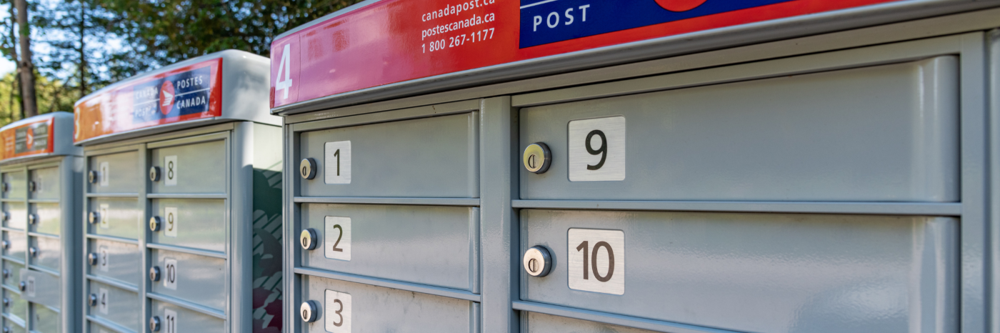 Trois boîtes aux lettres communautaires extérieures de Postes Canada avec un arbre en arrière-plan.