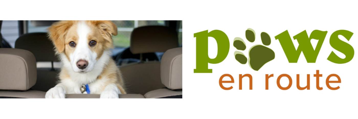 Image d’un chien assis dans une voiture vis- à-vis du logo « Paws en route », qui laisse voir une empreinte de patte au lieu de la lettre « a ». 