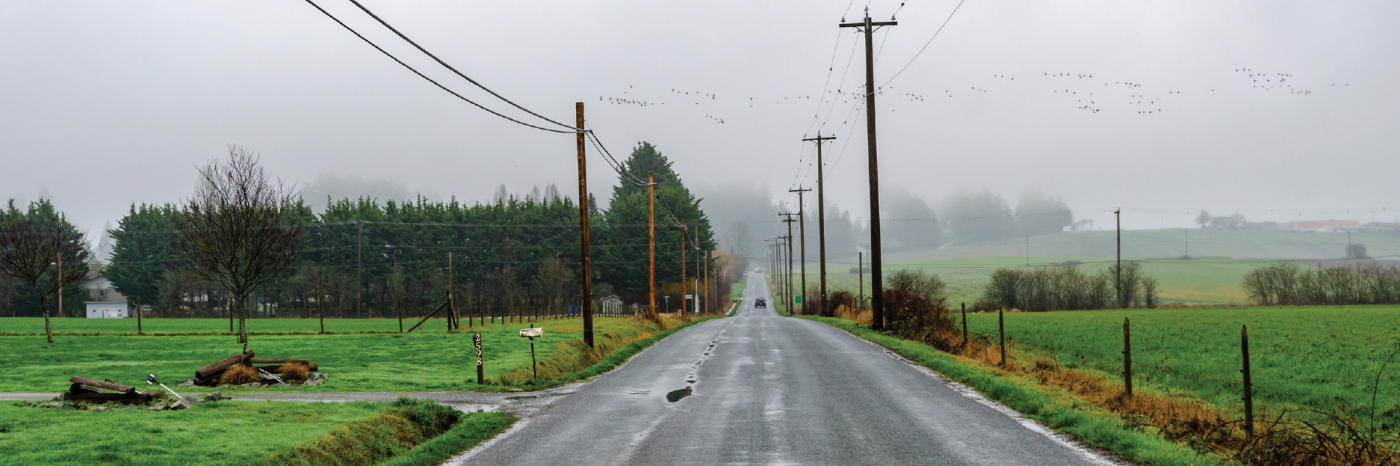 Une longue route rurale droite qui s'étend au loin. C'est un jour de brouillard et il y a des flaques d'eau sur la chaussée. De chaque côté de la route, il y a des champs, des arbres et des lignes électriques. 