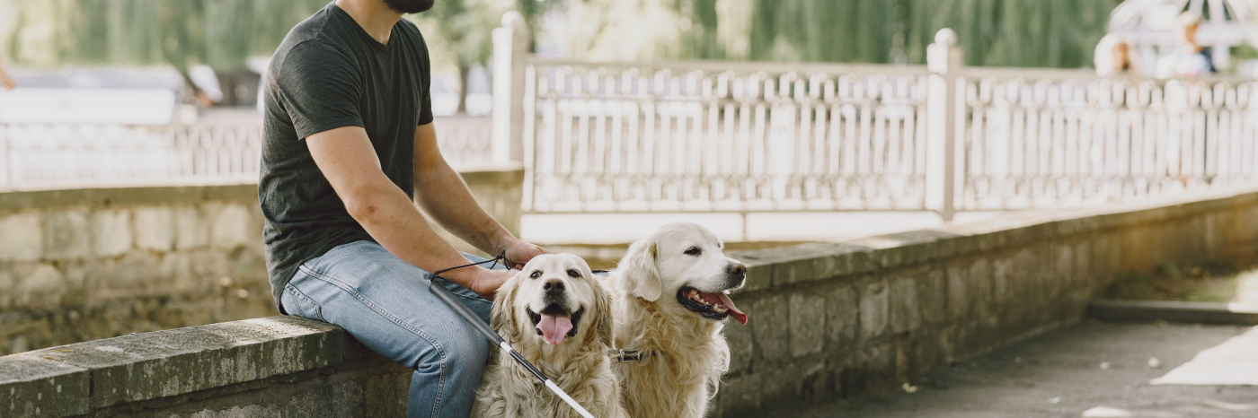Un homme et ses chiens guides.