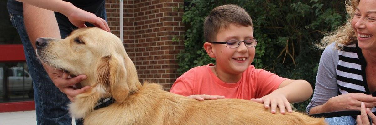 A young boy and a Golden Retriever.