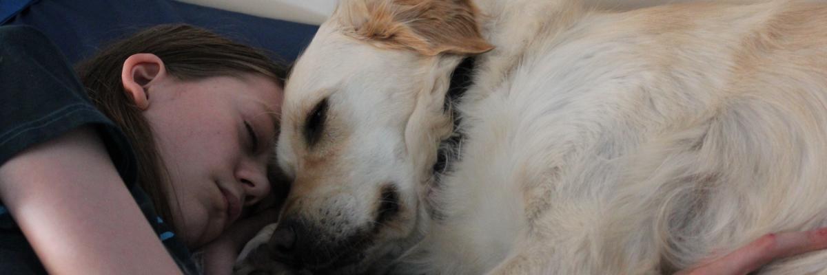 A teenage boy lays with his Buddy Dog, a golden retriever. The boy is embracing the dog and their heads are touching.