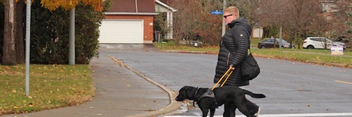 Photo d'Ashley et de son chien-guide Danson empruntant un passage pour piétons par temps nuageux.