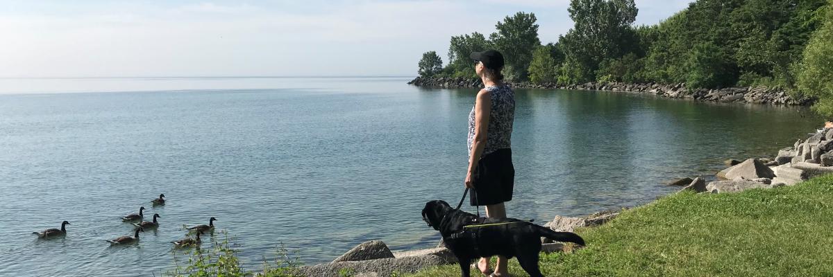 Cindy et son chien-guide Barney, un Labrador-Retriever noir, sur la berge d’un lac où nagent des canards.