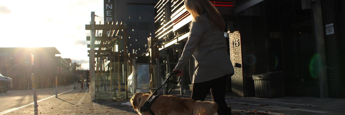 Une femme et son chien-guide, un golden retriever, marchant sur un trottoir au coucher de soleil, en contrechamp de l'appareil photo.