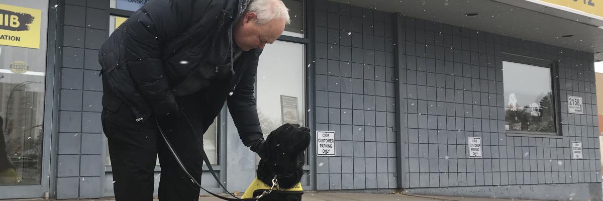 Jack Clarkson et Lulu devant le bureau d'INCA à Regina par une journée enneigée; Lulu, un croisement de Labrador-Golden Retriever noir est assis et porte un gilet jaune Futur chien-guide, pendant que Jack se penche pour lui flatter la tête