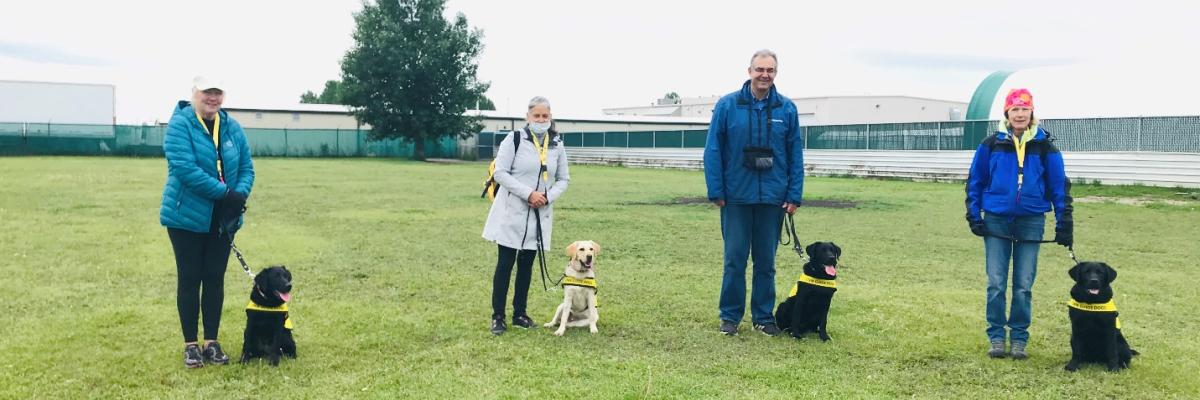 A group of four volunteer puppy raisers standing six feet apart from one another on a fenced-in, grassy field; each of their respective puppies are sitting on their left sides wearing their bright yellow Future Guide Dog vests.