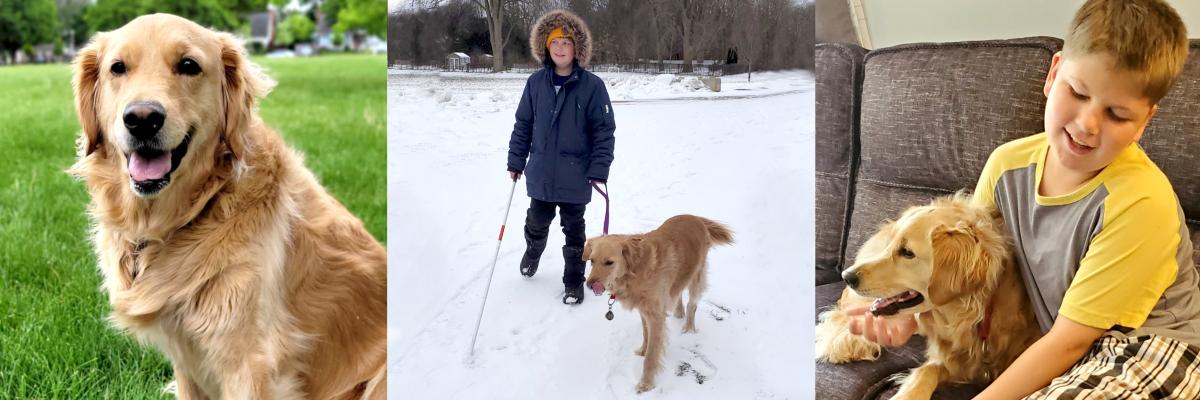 Un collage de trois photographies. Gauche: Queenie, un golden-retriever. Centre: Mason, vêtu d'un manteau bleu, dans la neige, tenant la laisse de Queenie de la main gauche et sa canne blanche de la main droite.  Droit. Mason assis sur le sofa en train de câliner Queenie, un golden retriever. 