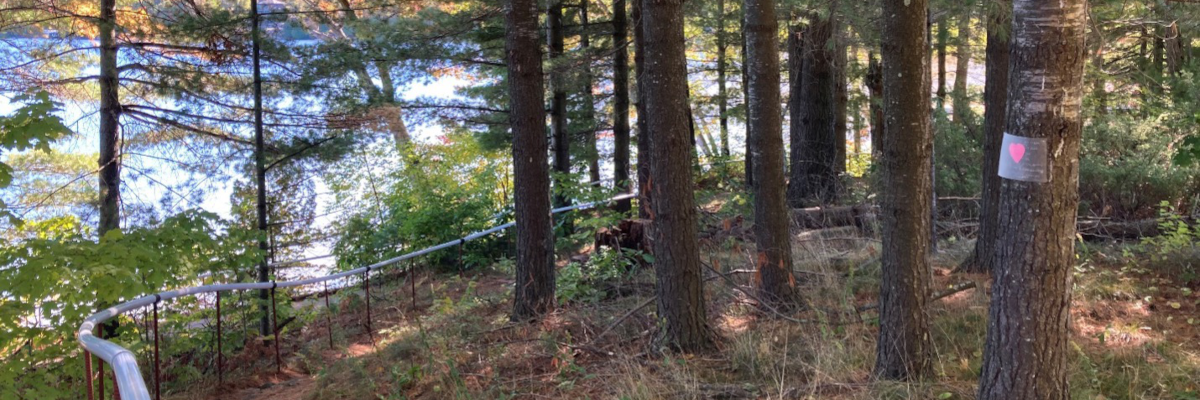  Un indice d’une chasse au trésor est affiché sur un arbre du sentier d’interprétation de la nature du Centre Lake Joe d’INCA. 