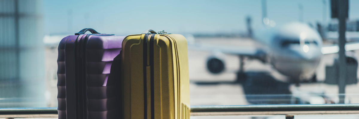 Deux valises sont posées côte à côte devant la fenêtre d’une salle d’embarquement d’un aéroport. De l’autre côté de la fenêtre, un avion se trouve sur le tarmac, à la porte d’embarquement. L’avion est flou et mal cadré.