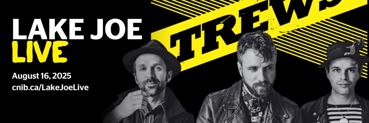 Lake Joe live affiche du groupe The Trews