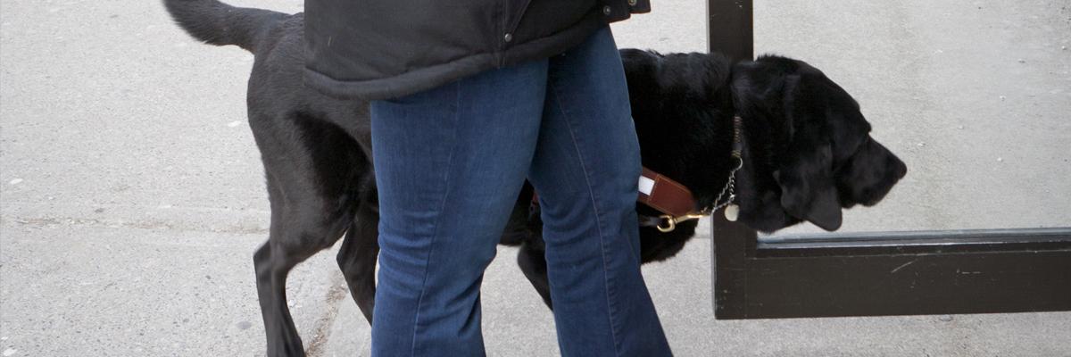 Un chien-guide noir et son maître entrent dans un bâtiment. 