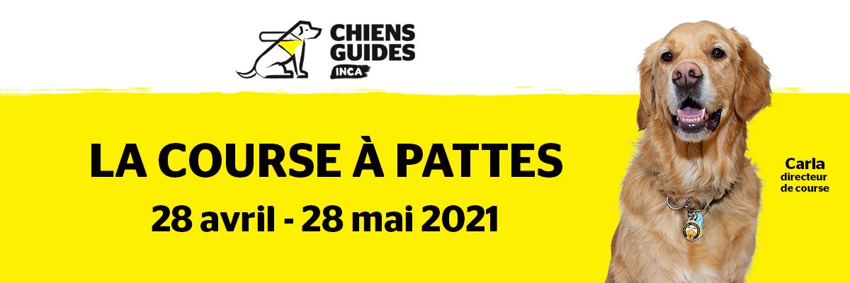 Le logo des Chiens-guides d’INCA. Sous le logo, on peut lire « La course à pattes, 28 avril-28 mai 2021 » sur fond jaune. À droite se trouve une photo de Carla, chien-guide de race golden retriever. Elle est flanquée du texte « Carla, directrice de course ».