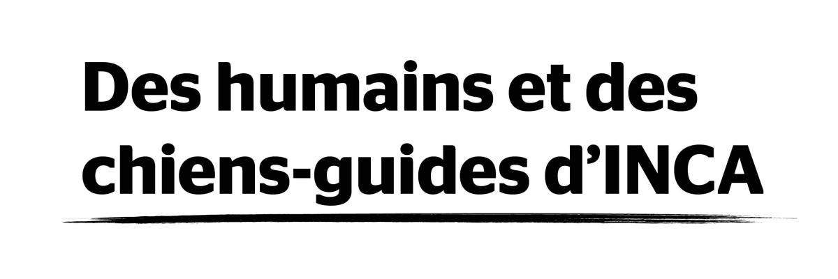 Des humains et des chiens-guides d'Inca