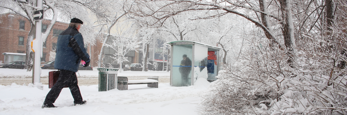 Une rue résidentielle, les trottoirs et les bâtiments environnants sont recouverts de neige. Un homme marche sur un trottoir enneigé. À sa gauche, un abribus et un banc sont également recouverts de neige. Une personne se tient dans l'abribus.