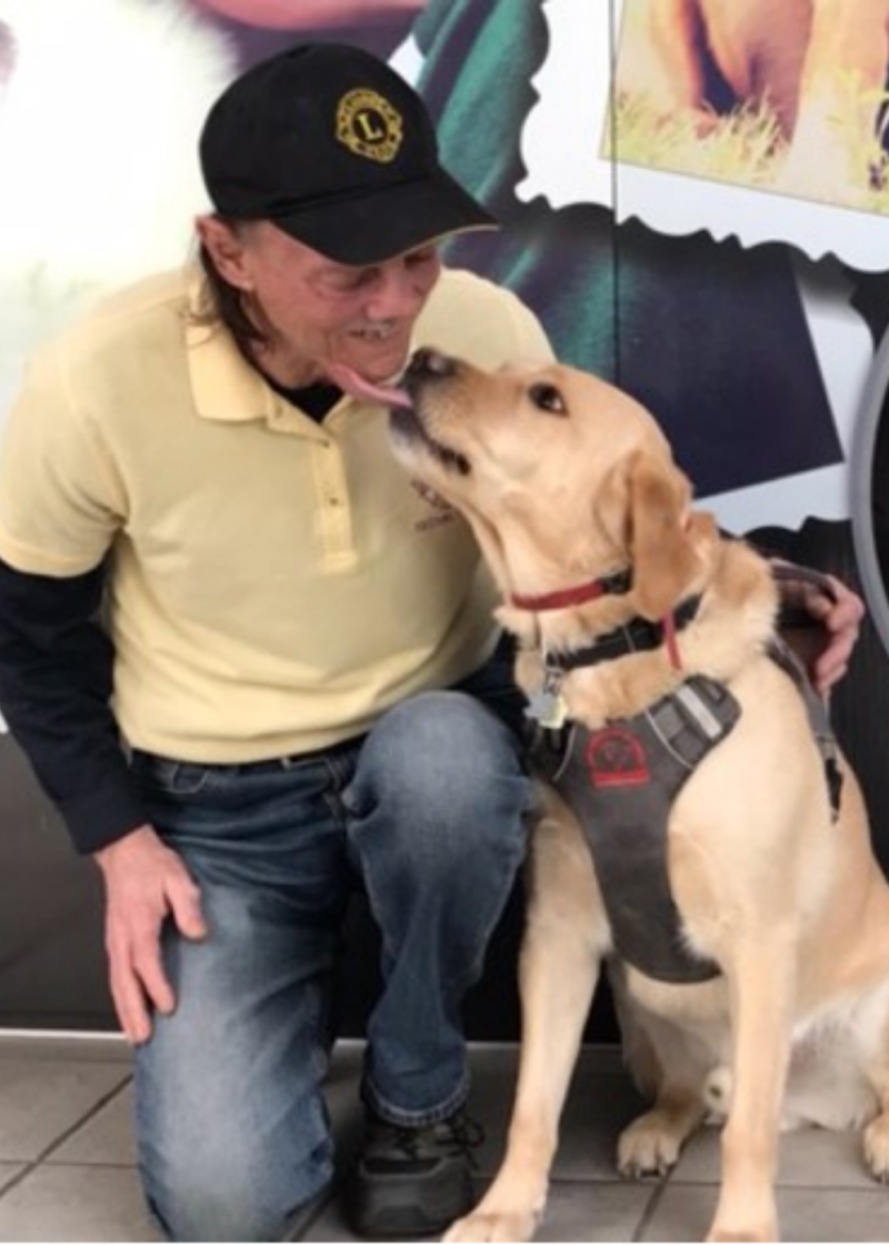 Bill, un utilisateur d'un chien-guide portant un polo jaune et une casquette noire, est agenouillé à côté de son chien-guide, Lionheart, un labrador jaune. Lionheart porte son harnais et lèche le menton de Bill tandis que celui-ci sourit.