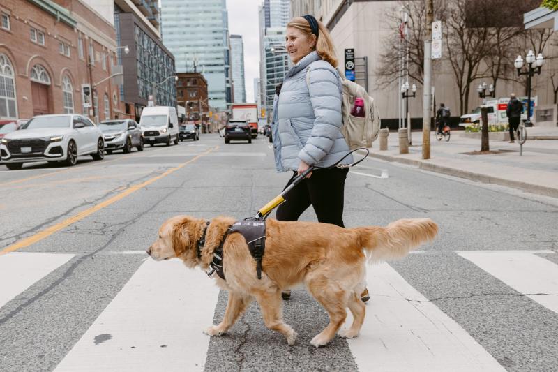 Lindsay et son chien-guide Charles, un golden retriever, traversant une rue très fréquentée de Toronto.