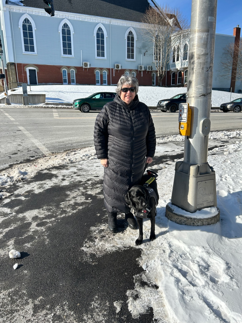 Marisa et son chien-guide, un labrador noir nommé Harley, se trouvent par une journée d'hiver ensoleillée à un passage piéton, à côté d'un poteau électrique équipé d'un nouveau système de feux pour piétons accessibles.