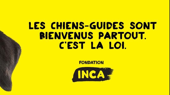  Le haut de la tête d’un chien-guide sur fond jaune. Le chien est un labrador noir et sa tête apparaît au milieu de la page. Le texte « Les chiens-guides sont bienvenus partout. C’est la loi. » apparaît.