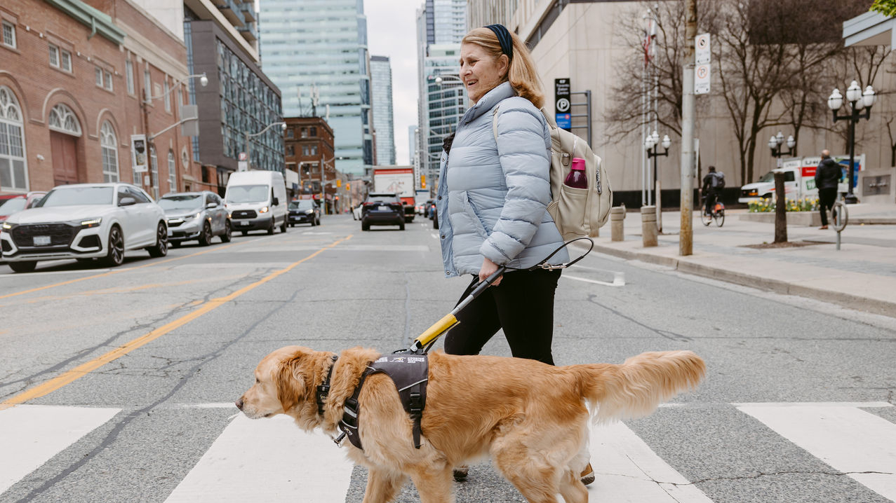 Lindsay et son chien-guide Charles, un golden retriever, traversant une rue très fréquentée de Toronto.