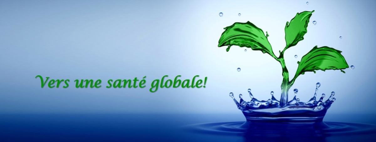 Des gouttes qui forment une plante avec le texte: Vers une santé globale.