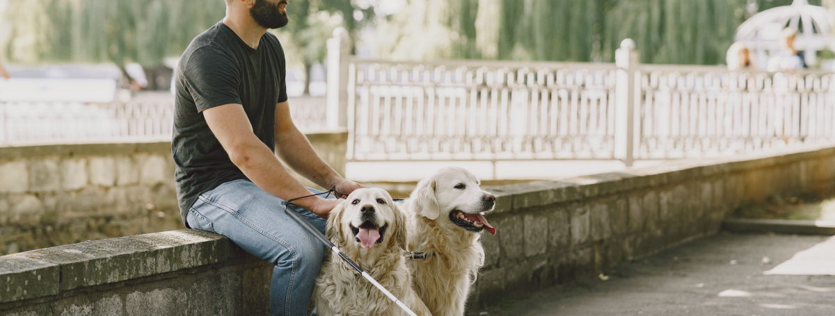 Un homme et ses chiens guides