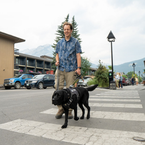 Un binôme composé d'un chien-guide et de son utilisateur traverse une rue de la ville. Le jeune utilisateur tient fermement le harnais du chien-guide, et le binôme est en mouvement.