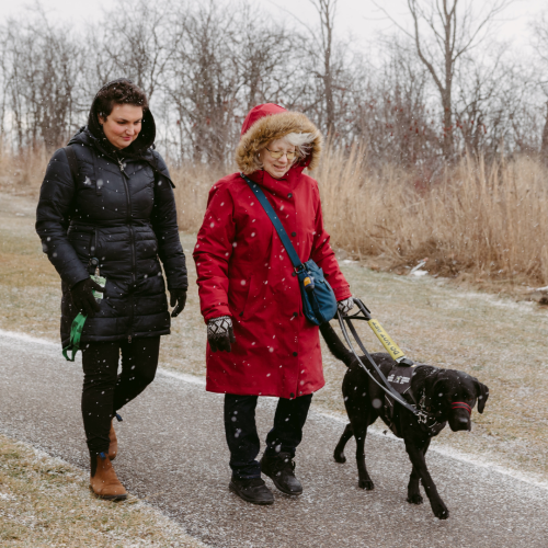 A woman in a red winter coat walks beside an intervenor alongside her guide dog on a winter day.